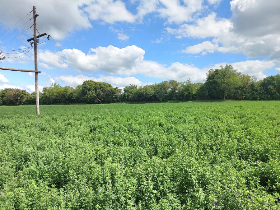 Commercial Property for Sale in Zoutpansdrift North West